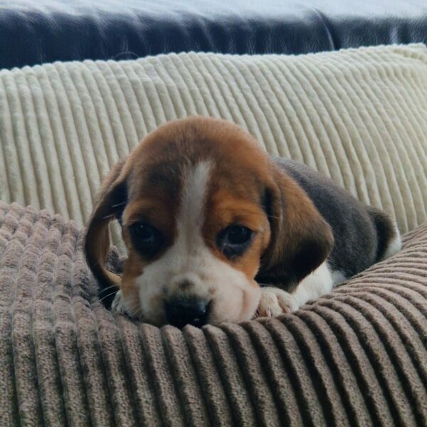 649272374_122175801188758554_7078615145599693498_n