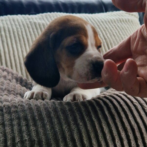 649601731_122175801398758554_4103053120579434762_n