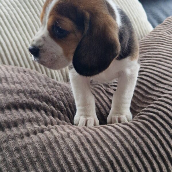 650222644_122175801098758554_1530624126278428617_n