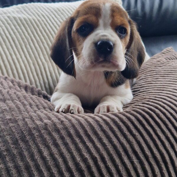 650531325_122175800972758554_7270543868093984605_n