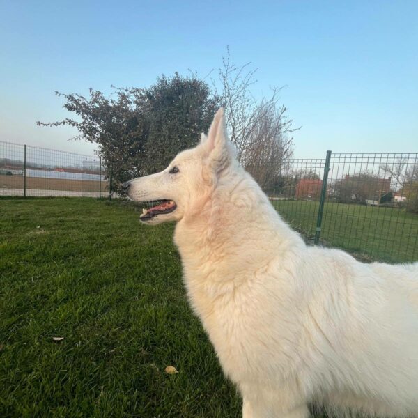 651244869_122176901678758554_3117688030788834582_n