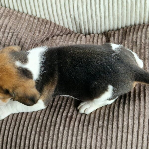 651758894_122175801260758554_3826327825598709872_n