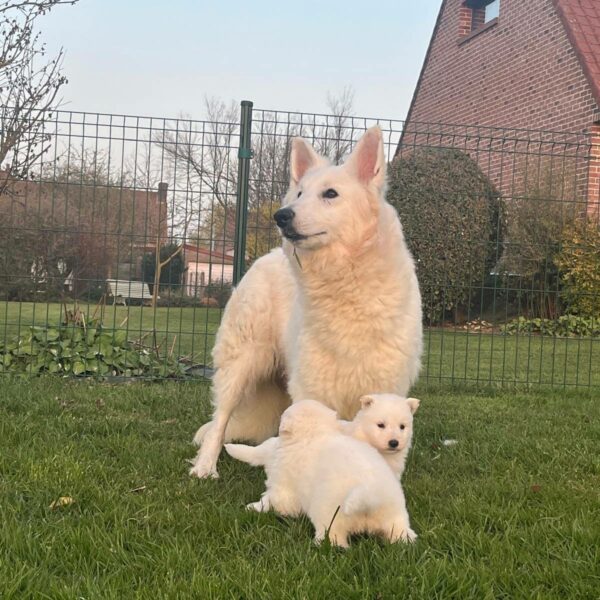 653585666_122176901420758554_7858027760258025463_n