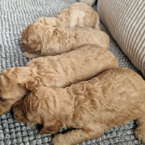 653846480_122177111210758554_5568757647632057972_n