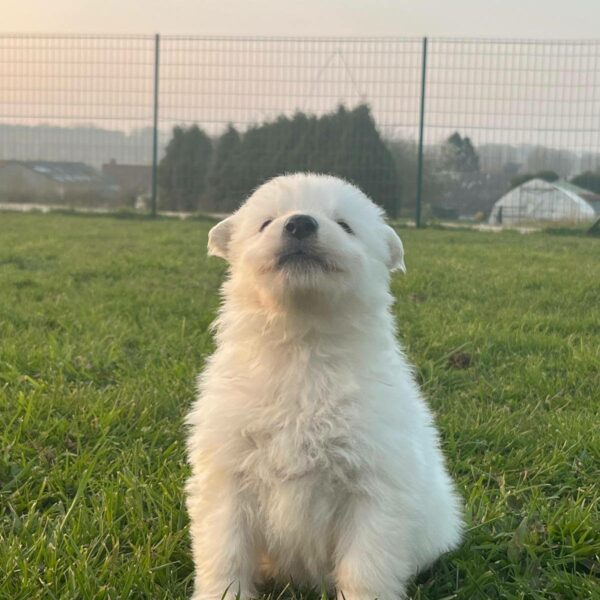 654248784_122176901732758554_1766845588433307065_n