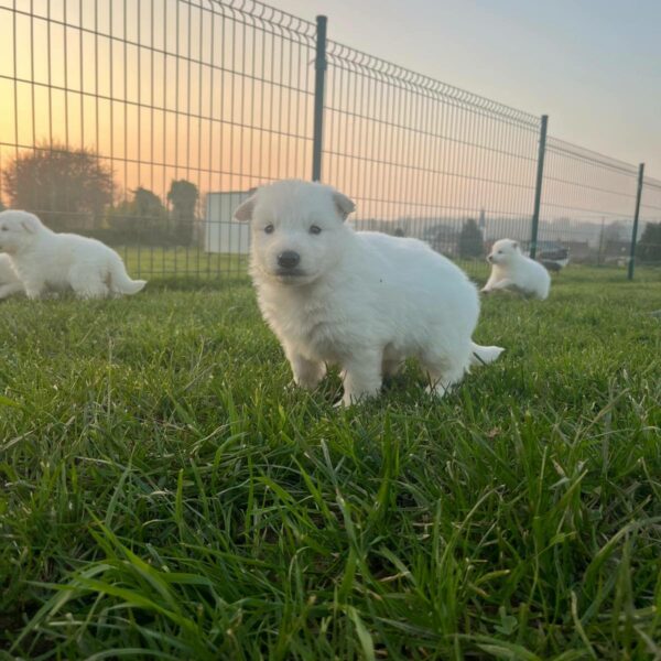 654327631_122176901954758554_4049063645428415319_n