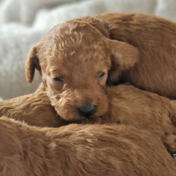 654862866_122177110292758554_5924652164988000465_n