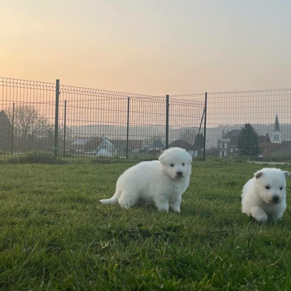 655729662_122176901774758554_5216627357483537485_n