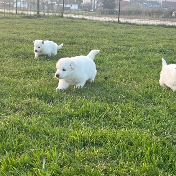 655832402_122176901822758554_2917728538888240704_n