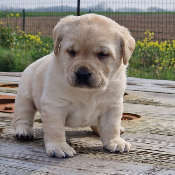 655966091_122177765156758554_3960799394606792128_n