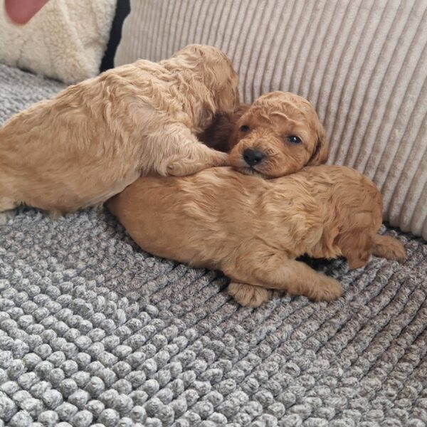 656072280_122177111258758554_6956259119612411859_n