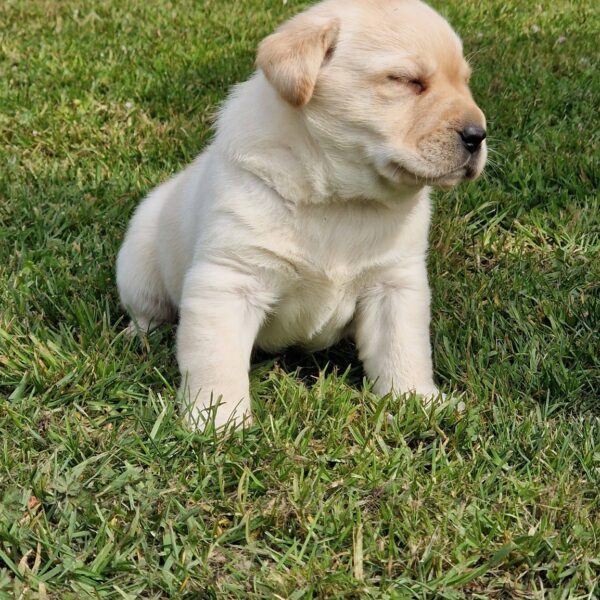 656148809_122177765390758554_8491392963769704523_n