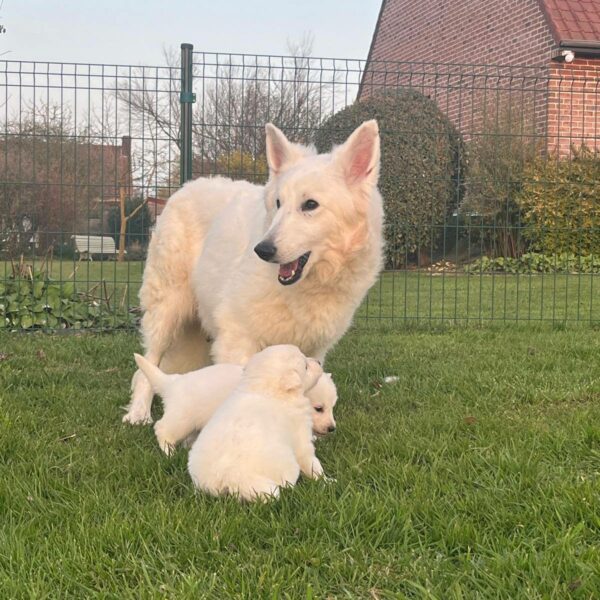 656227619_122176901546758554_4068091978853043847_n