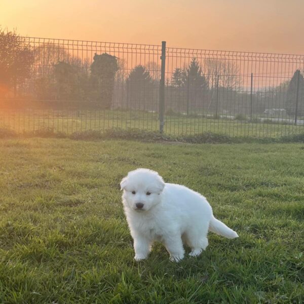 657238341_122176901912758554_5845359344869457693_n