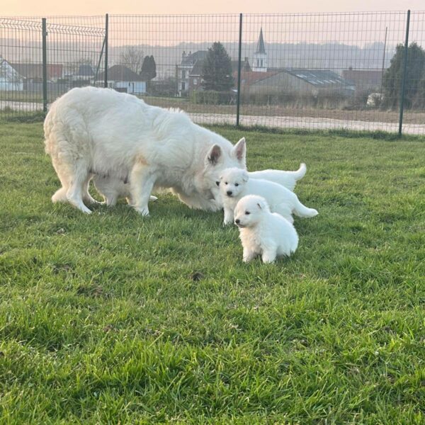 657296813_122176901870758554_5321783819999232360_n