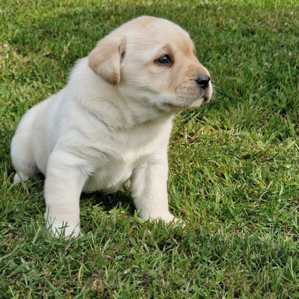 657945765_122177765228758554_6936126197211016332_n