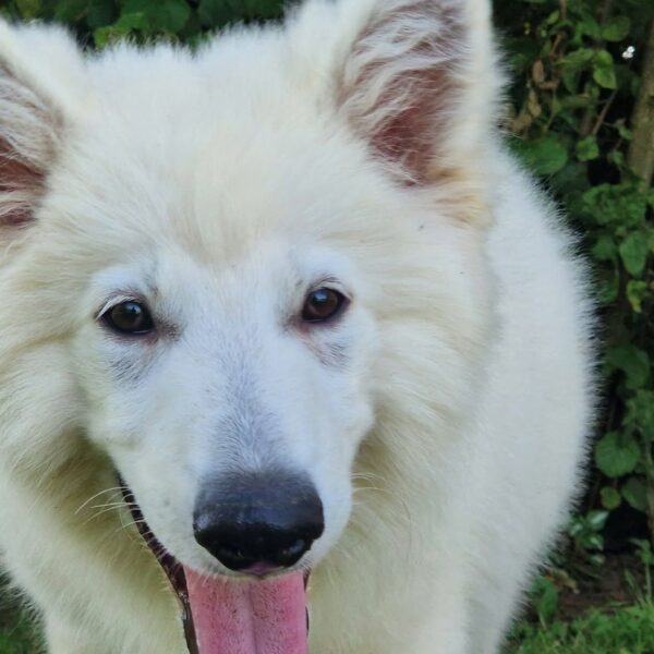 726689770_122189987888758554_9154334933462328098_n
