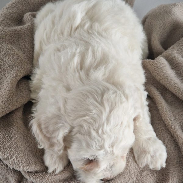 628415476_122171153996758554_1934111562134726444_n