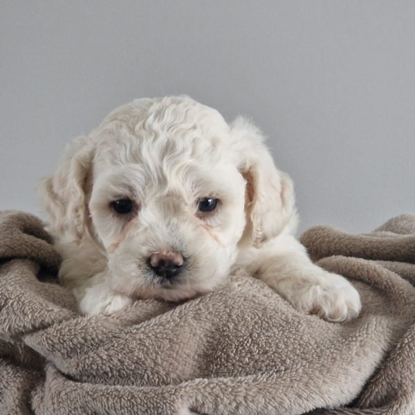 629447877_122171154032758554_5095792017475382194_n