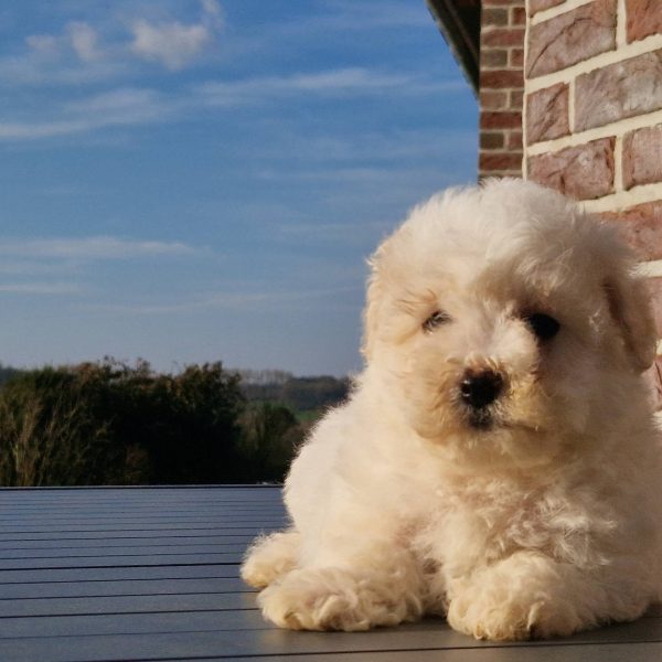 644767889_122174651816758554_5123935615441096861_n