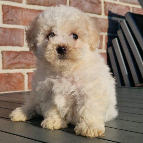 647564539_122174649620758554_6383436057159523926_n